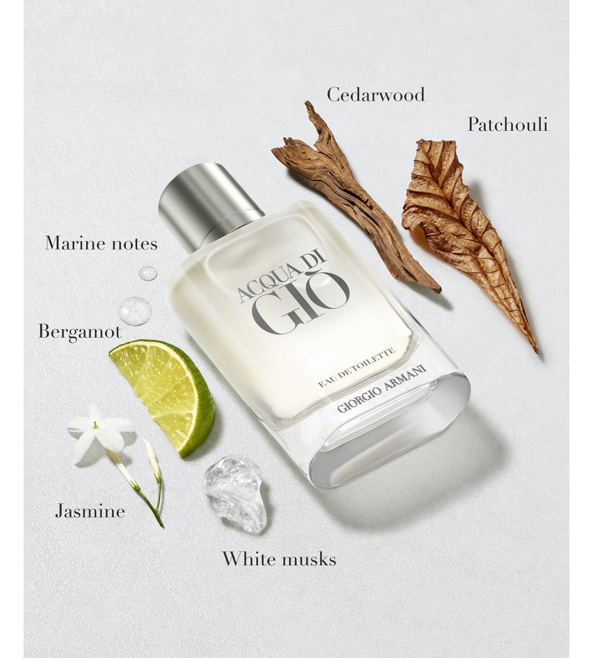 Acqua Di Gio by Giorgio Armani Eau De Toilette Spray