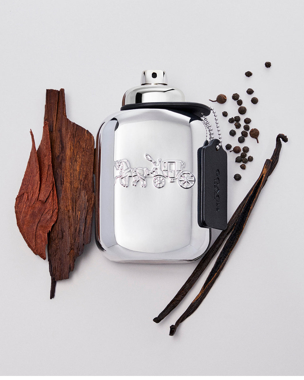 COACH NEW YORK PLATINUM by Coach Eau De Parfum For Men 3.3 oz.